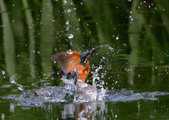 いつもの公園で　９/２６➓