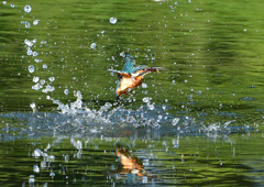 いつもの公園で　８/２６❹