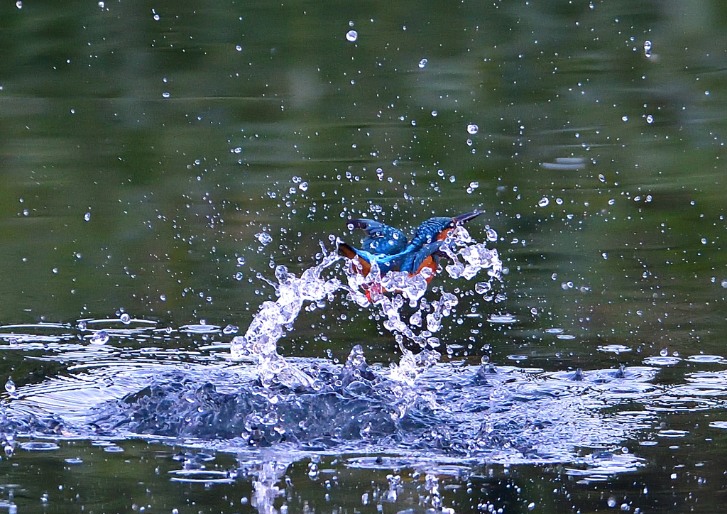 いつもの公園で　１０/１１❶