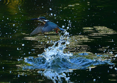 いつもの公園で　８/１６❷
