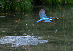 いつもの公園で　１０/２４❷