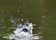 水飛沫　５/９❷