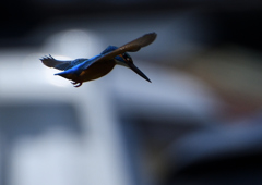 ホバ　４/１５❷