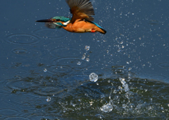 ダイブ　３/７❷