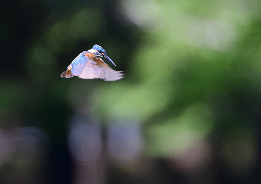 ホバる　７/２３❷