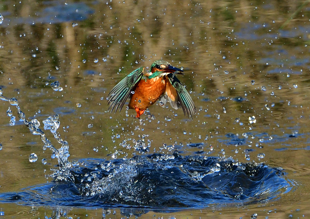 いつもの公園で　１０/２９❸