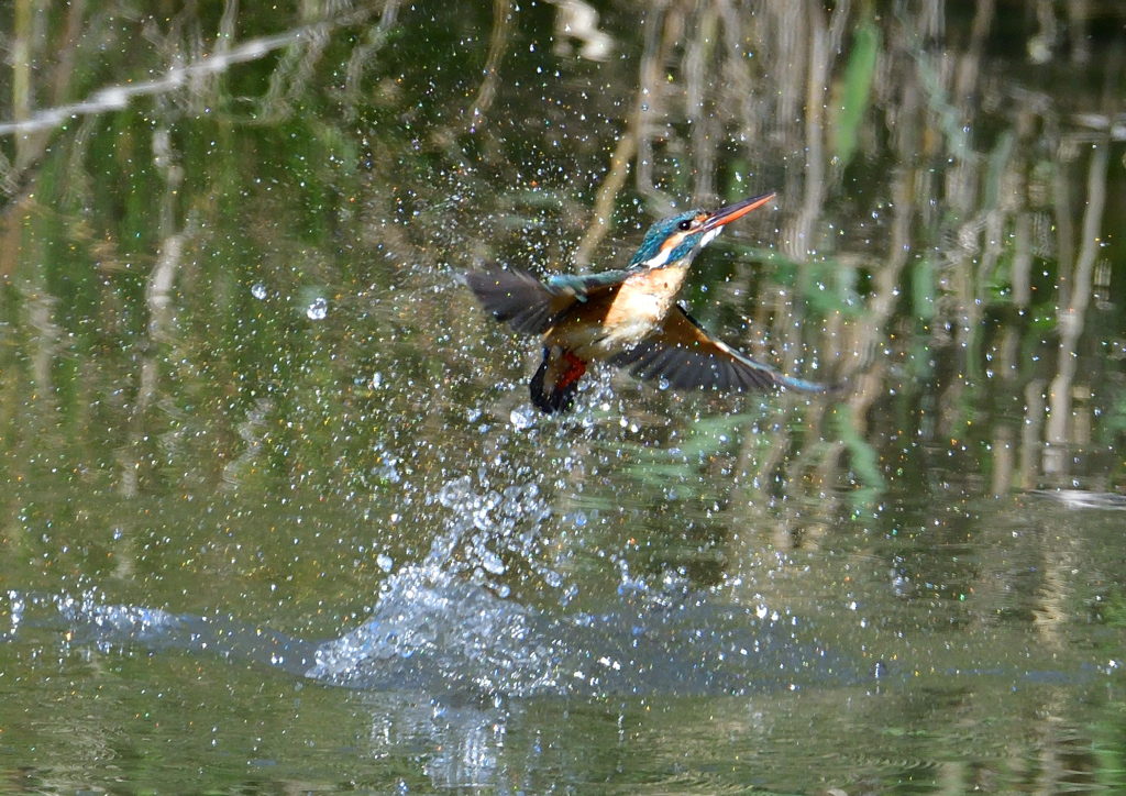 水飛沫　５/１４❻