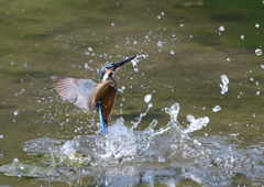 水飛沫　９/１０❸
