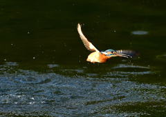 いつもの公園で　１０/１４❷
