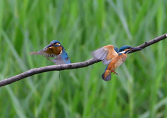 親子で・・・・　７/１３➂