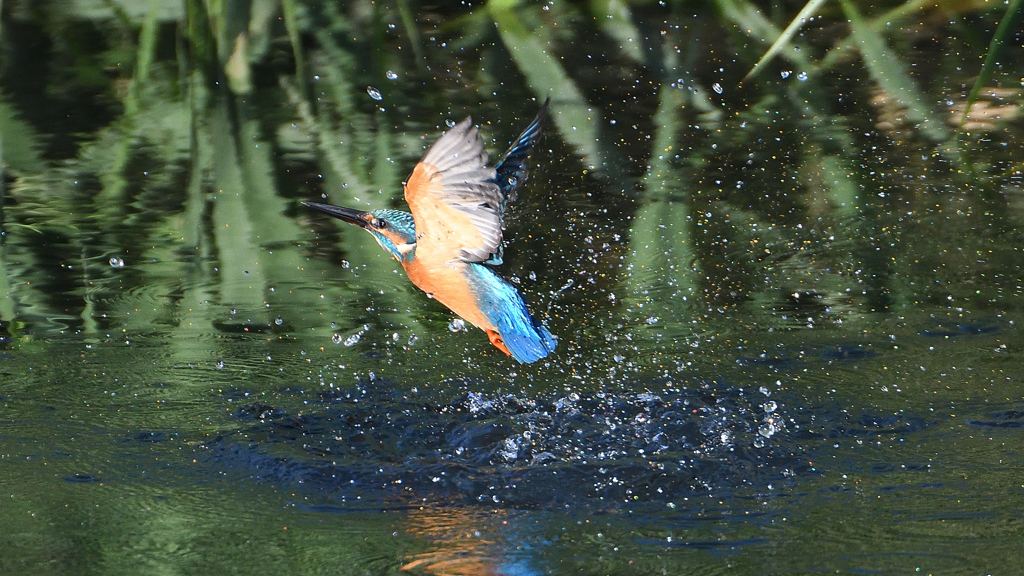 水飛沫　１０/１５❷