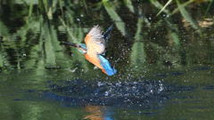 水飛沫　１０/１５❷