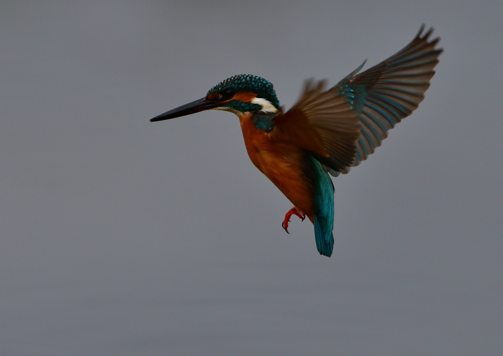 いつもの公園で　１１/６❶