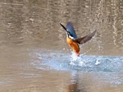 いつもの公園　２/１６❸