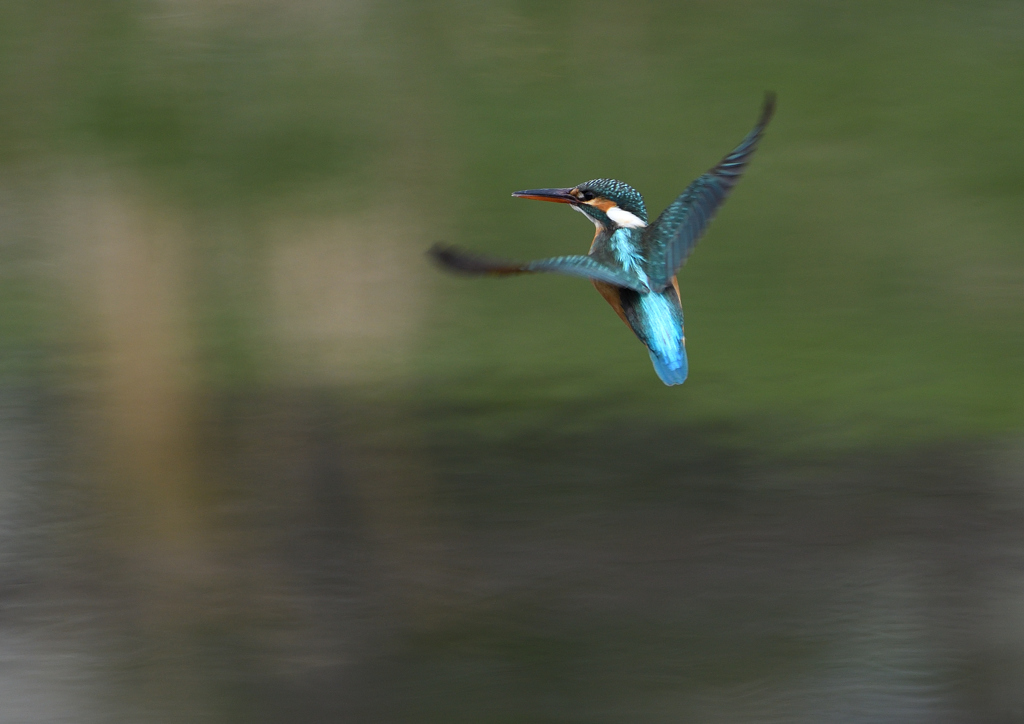 _190317_085112 DSC_7915