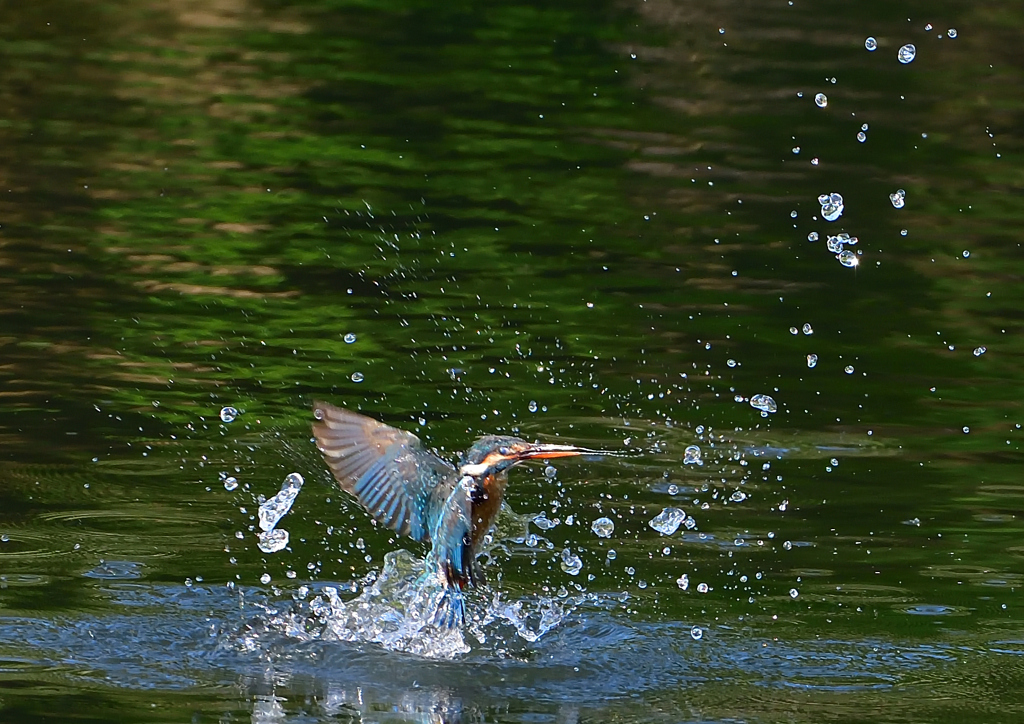 ダイブ　５/２２❷