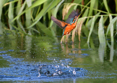 いつもの公園で　９/２６❸