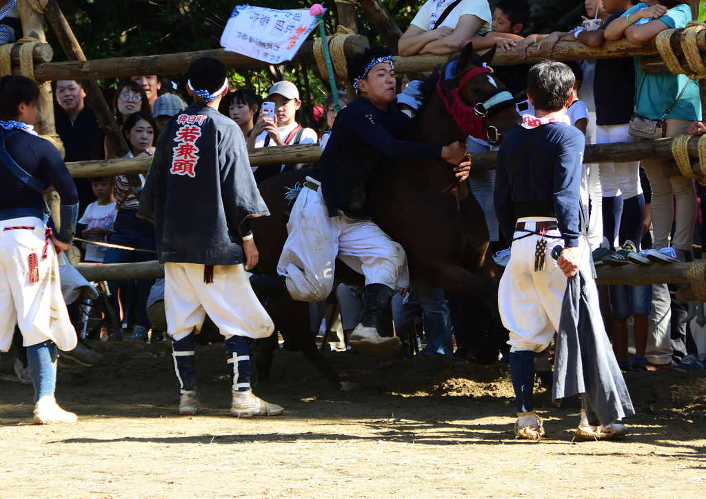 おまんと祭り⑤