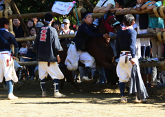 おまんと祭り⑤