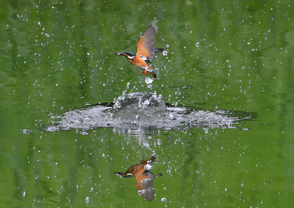 水飛沫　７/３１➃