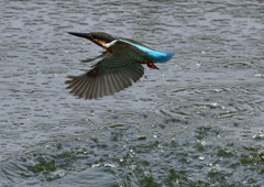 水飛沫　８/６❷