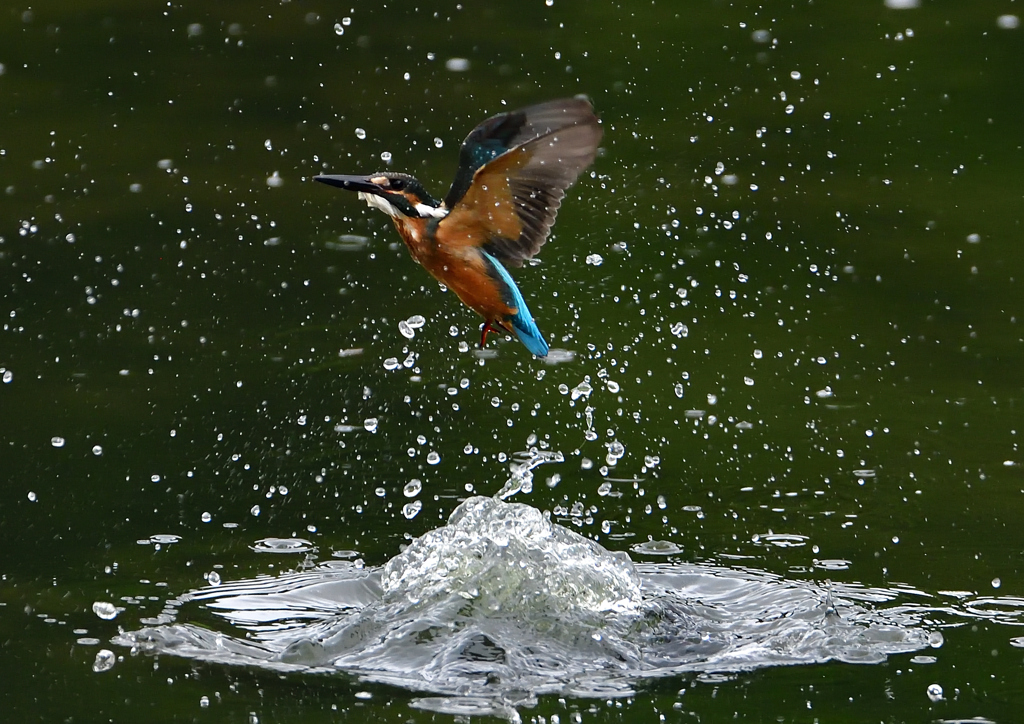 水飛沫　７/３１⑤