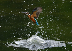水飛沫　７/３１⑤