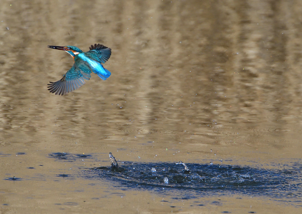 ダイブ　２/２７❷
