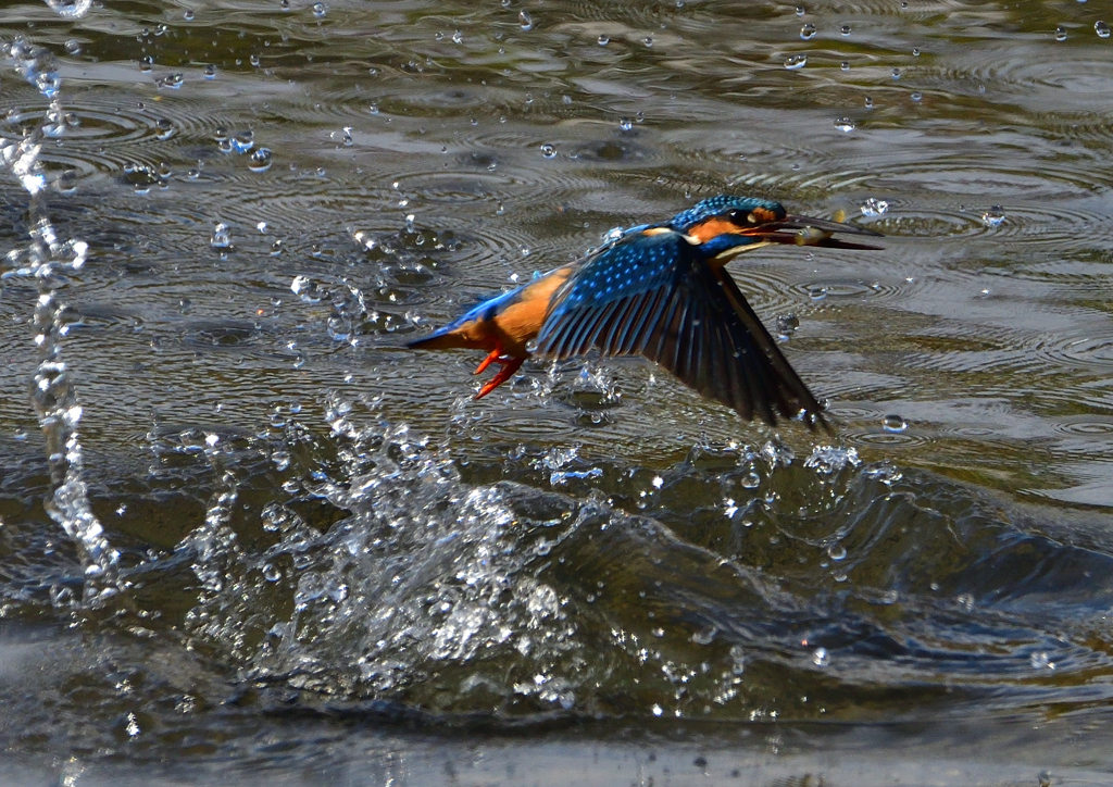 いつもの公園で　１１/３０❽