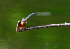 いつもの公園で　８/２３❸