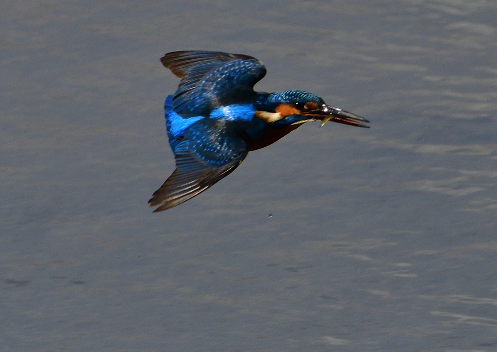 いつもの公園で　１１/３０➓