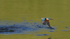 _191009_082530 DSC_9109