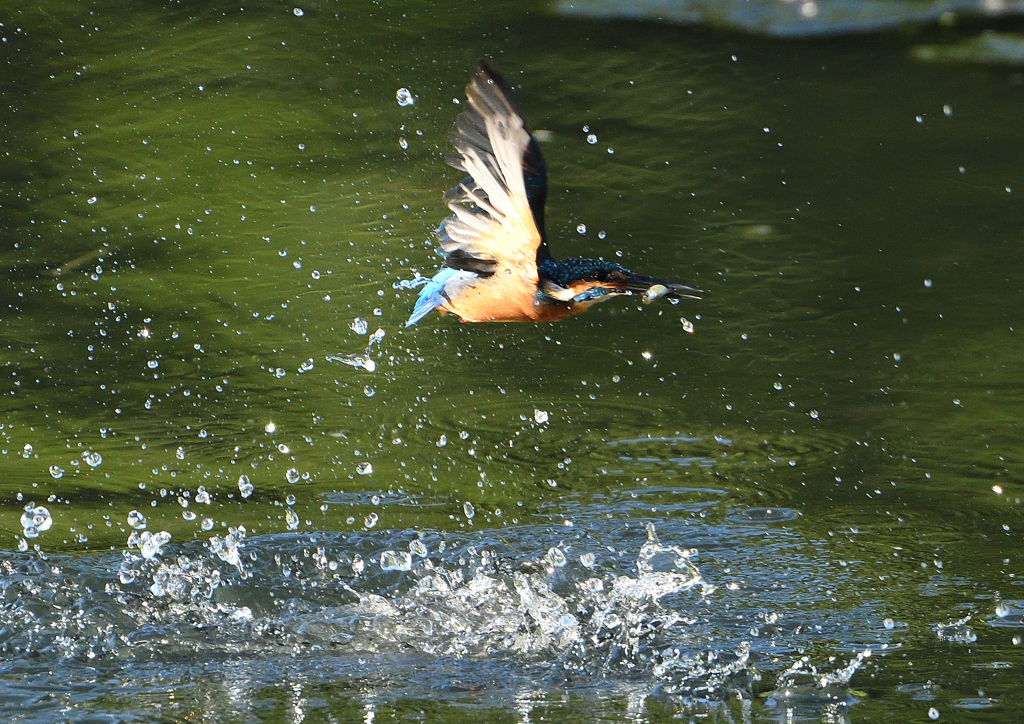 水飛沫　９/２４❷