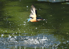 水飛沫　９/２４❷