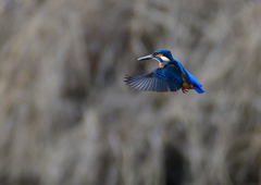 いつもの公園で　1／5❼