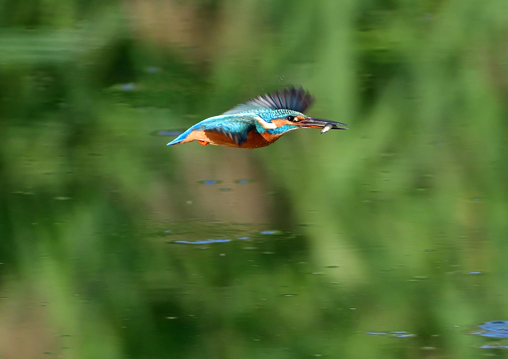 いつもの公園で　１０/２７❷