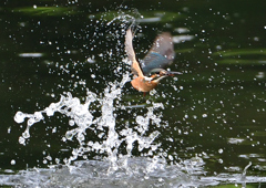 水飛沫　７/２８②