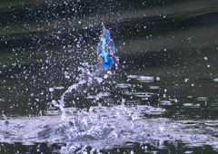 いつもの公園で　９/８❹