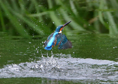 いつもの公園で　９/２４❶