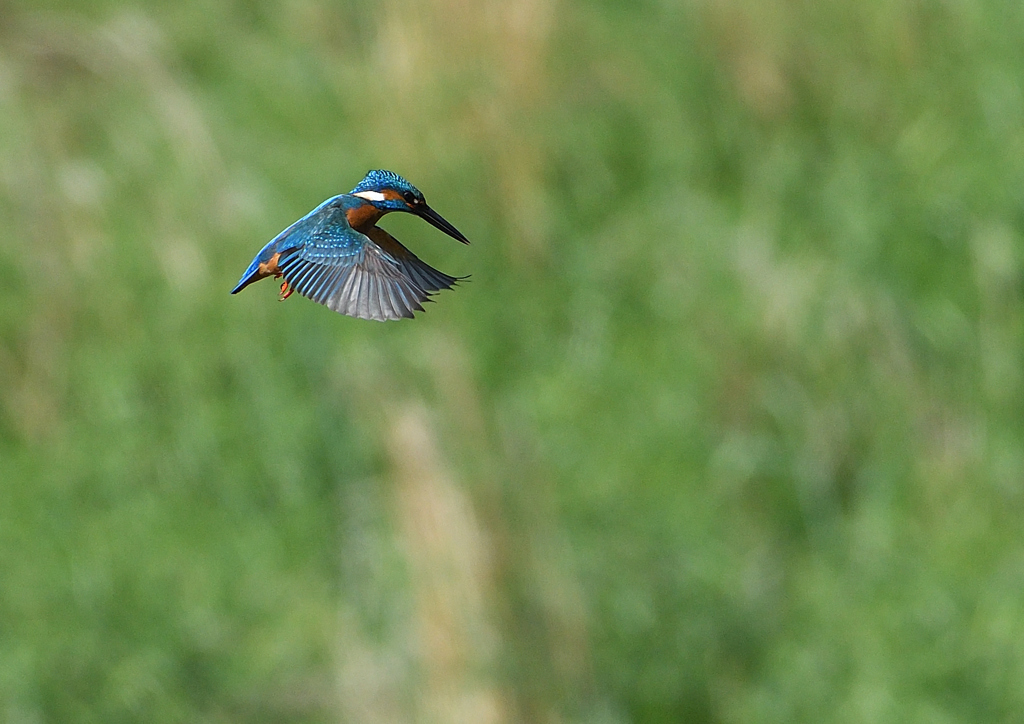 ホバリング　５/７❸