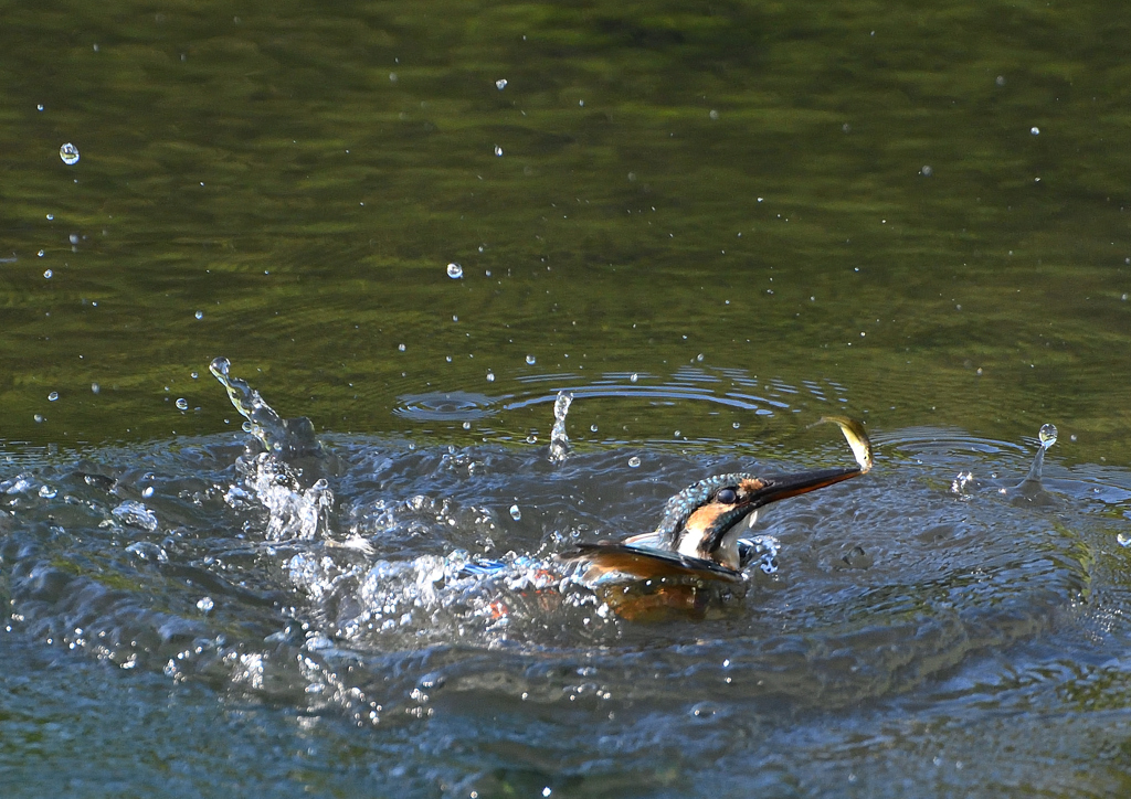水飛沫　９/１２❶