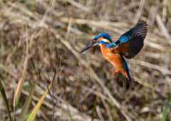 いつもの公園で　１２/６❹