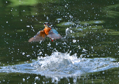 いつもの公園で　９/８❼