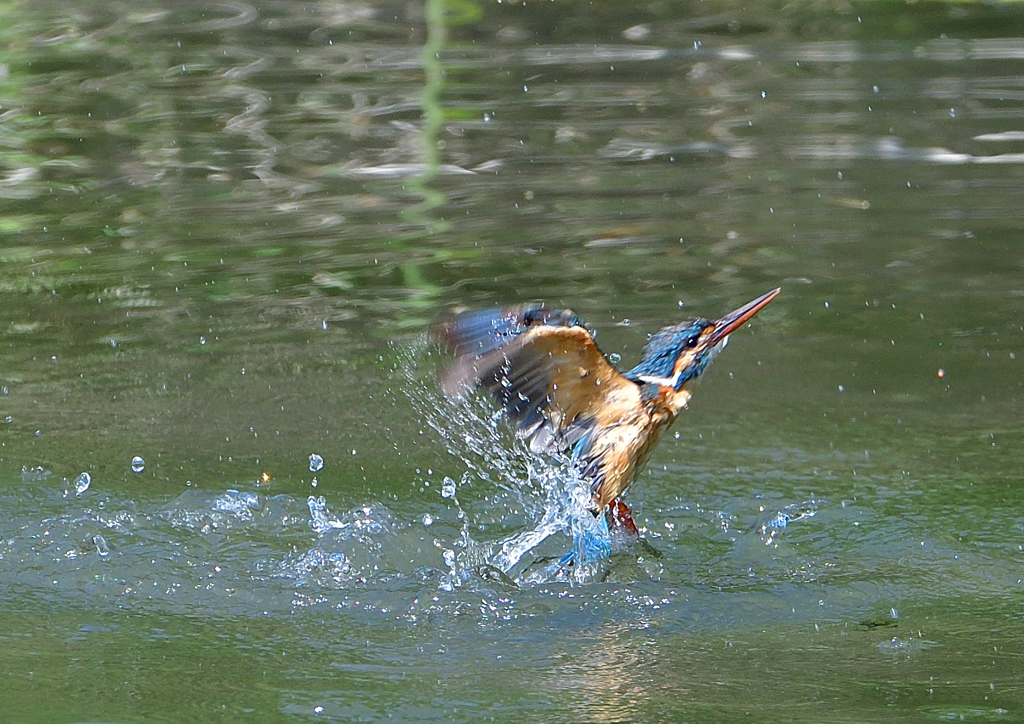 水飛沫　５/１７➓