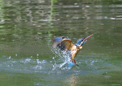 水飛沫　５/１７➓