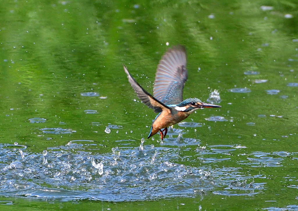 いつもの公園で　８/３０❾