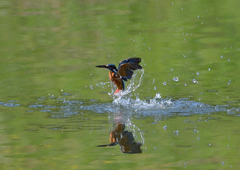 水飛沫　４/２９❼