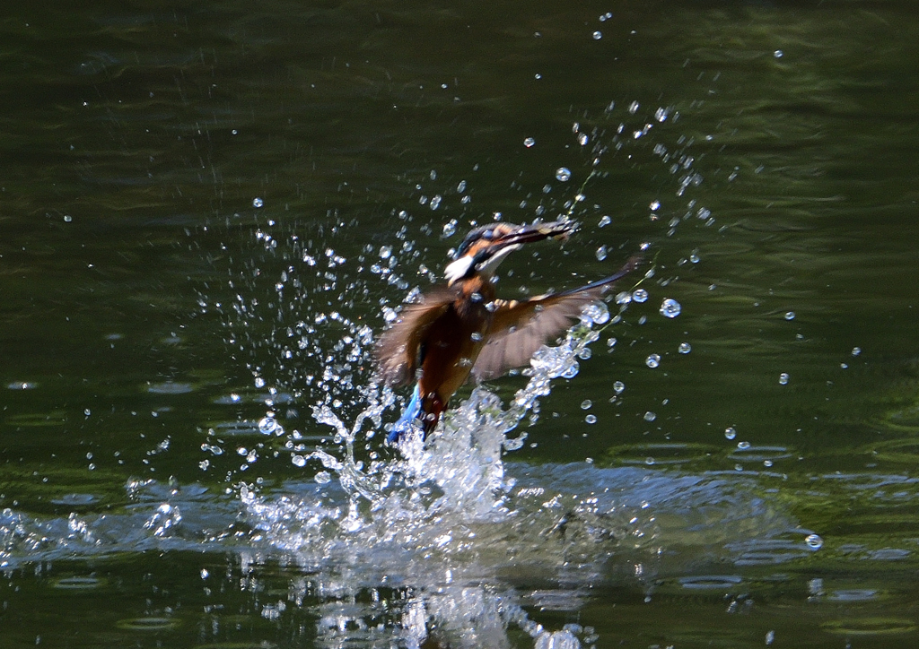 飛沫　８/２６⓯
