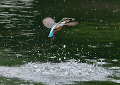 水飛沫　７/１５④
