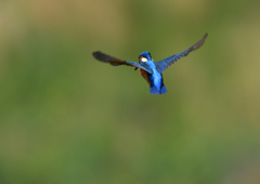 ホバリング　５/１２❷